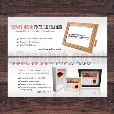 Website Banner designed for EzeFrame